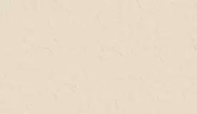 LOGAN 60х120 BONE Rectifie Matt