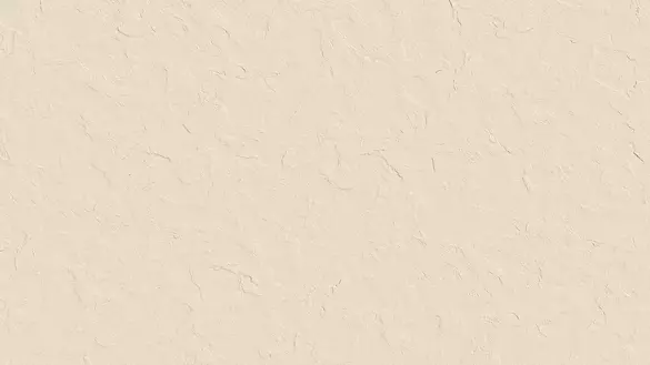 LOGAN 60х120 BONE Rectifie Matt