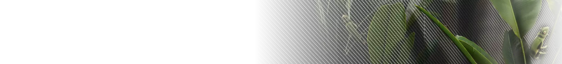 Carbon Carbon